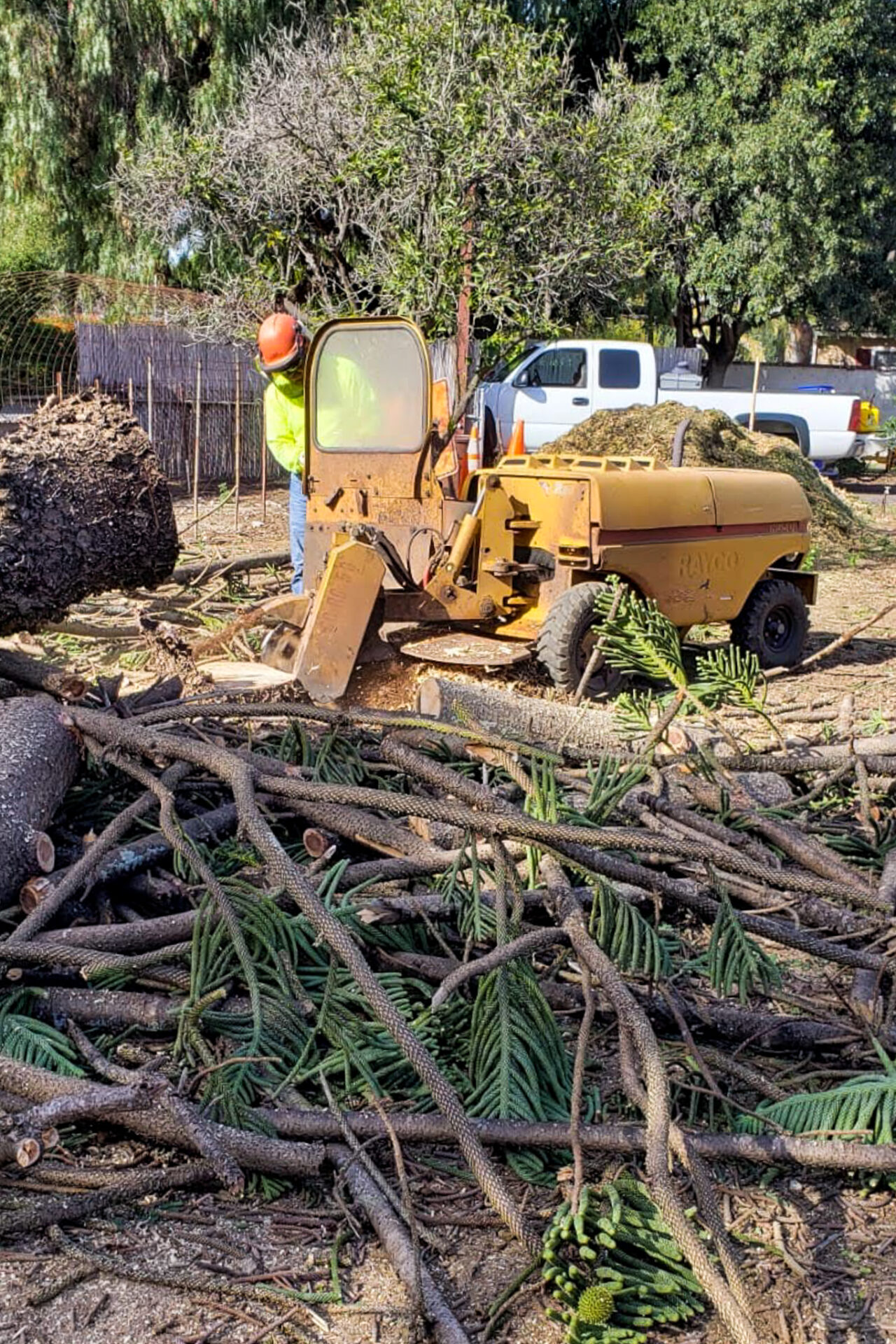 Vista Del Rey Tree Service Stump Grinding and Clean Up