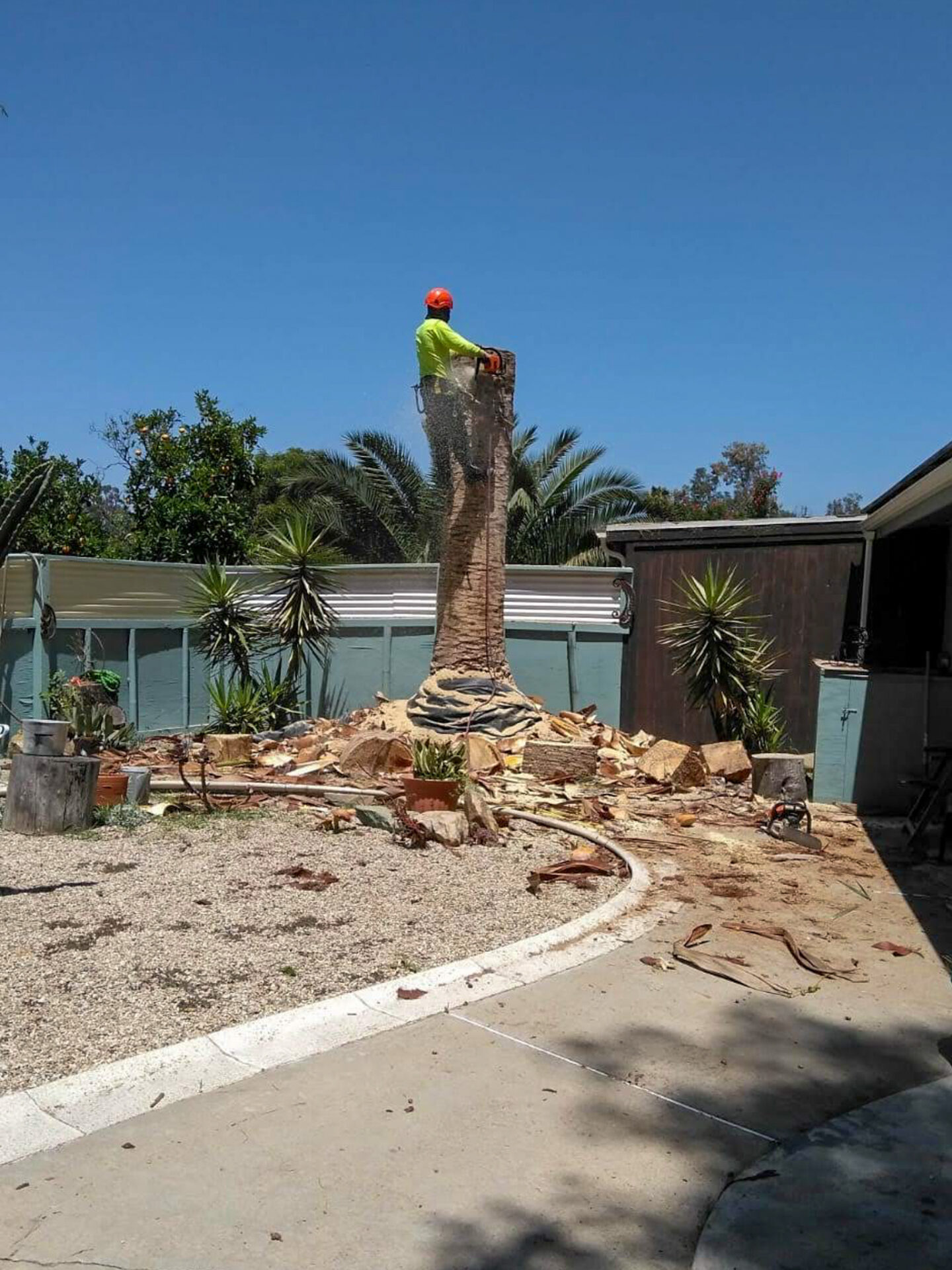 Tree Removal Experts