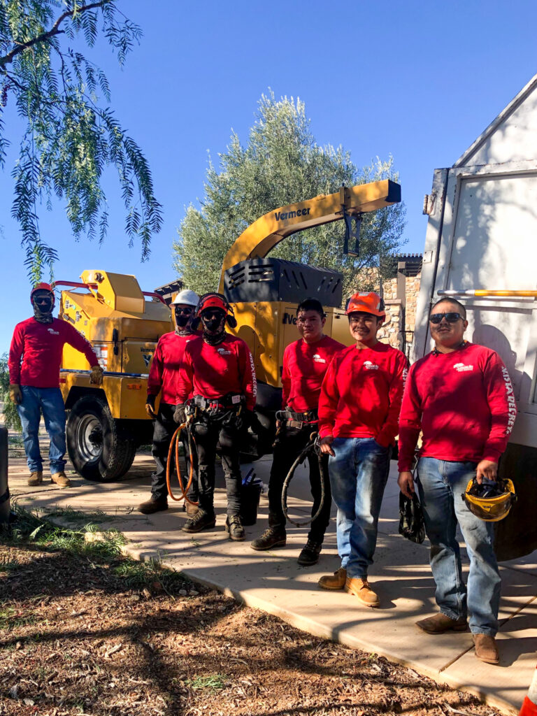 North County's Best Tree Service Team